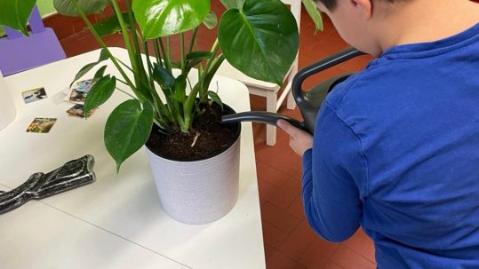 Bloom Lab