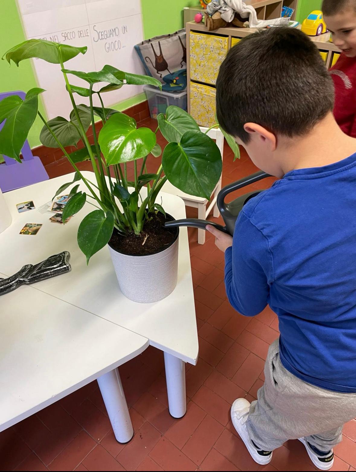 Bloom Lab